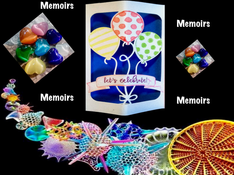 Screen Shot 2017-11-16 at 3.39.10 AM